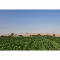 پنچ-و-نیم-هکتار-زمین-با-چاه-مشاع-دشت-بزرگ-لیشتر