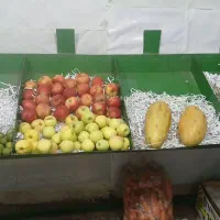 فروش قفسه میوه|فروشگاه و مغازه|ساوه, |دیوار