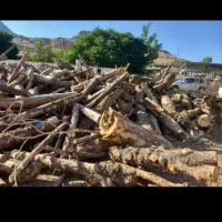 خرید وبرش چوب.تیلر زدن|خدمات باغبانی و درختکاری|دورود, |دیوار