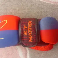 دستکش بوکس( حرفه ای)