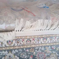 فرش700 شانه مشهد نو نو بدون استفاده|فرش|گرگان, |دیوار