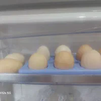 تخم مرغ خانگی دانه ای ۶تومن