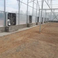 طراحی و ساخت و اجرای گلخانه|عمدهفروشی|صفادشت, |دیوار