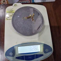 گوشواره طلا|جواهرات|مشهد, نظام دوست|دیوار