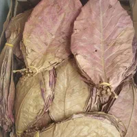 کاتاپا و سیستویفر فرص اسپرولینا دکپسوله ،متیلن بلو|ماهی|تهران, جیحون|دیوار