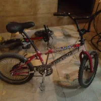 دوچرخه20حرفه ای