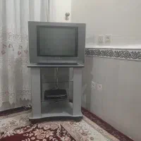 تلویزیون