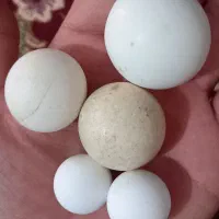 سنگ قیمتی