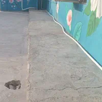 سرایدار جهت دبیرستان دخترانه همراه با سوییت