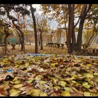 اجاره-باغ-لوکس
