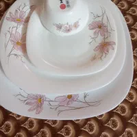 ارکوپال  ۱۵ نفره