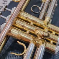 فروشی 13تومان|سازهای بادی|فلاورجان, |دیوار