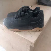 کتونی|کیف، کفش، کمربند|نورآباد, |دیوار