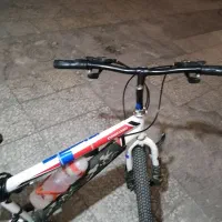 دوچرخه ویوا ایرانی سایز 24