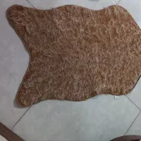 پادری|پادری|تهران, شادآباد|دیوار