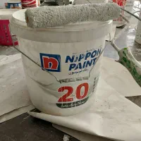 رنگ نیپون ۲۰