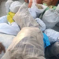 نان خشک بدون کپک تافتون