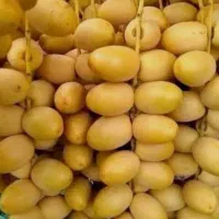 رطب ،خارک و خرما برحی سایز درشت