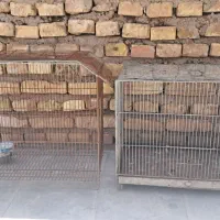 قفس پرنده
