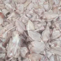 قطعه بندی مرغ