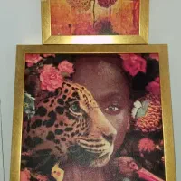 تابلو دیواری شیک و زیبا|تابلو، نقاشی، عکس|سردشت, |دیوار