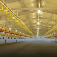 سرایدار و نظافت چی و..