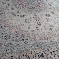 فرش 12متری