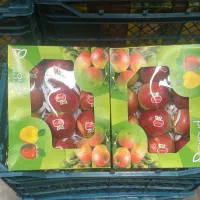 بسته بندی میوه و تره بار در شهرک صنعتی