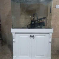 اکواریوم