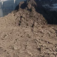 کود حیوانی خاک باغچه|خدمات باغبانی و درختکاری|دماوند, دماوند|دیوار