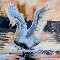 فروش تابلوی نقاشی زیبای قو در غروب