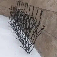 حفاز شاخ گوزن