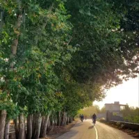 زمین فوشنجان حاشیه جاده بکتاش ولی