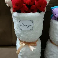 بوکت خرسی کادو روز دختر|اسباب و اثاث بچه|یزد, |دیوار