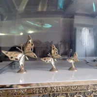 پروانه برنجی و برنزی پایه دارسه تا