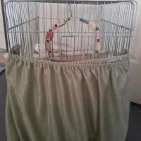 قفس پرنده|لوازم جانبی حیوانات|مشکیندشت, |دیوار