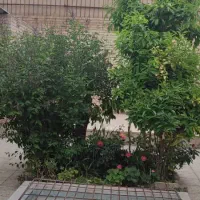 ویلایی ۳۰۰ متر/ ۳۷۰ متر ساخت/کوی سپاهان