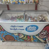 محصولات دومینو