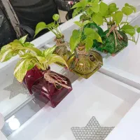 فروش تجهیزات آرایشگاهی در حد نو|آرایشگاه و سالنهای زیبایی|سیرجان, |دیوار