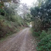 350متر زمین مسکونی مستسنیات کامل کوهپایه