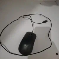 mouse