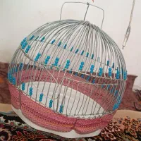 قفس سهره جل جعل طرقه