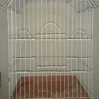 دو عدد قفس ۱میلیون