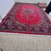 قالی