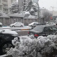 دزدیده شده|اشیا|تهران, دزاشیب|دیوار