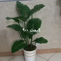 گل های مصنوعی|گل مصنوعی|بهارستان, |دیوار