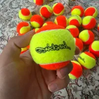 توپ تنیس ساحلی