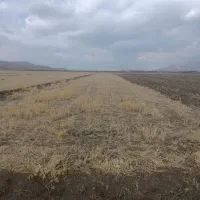 فروش زمین کشاورزی