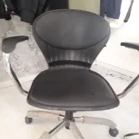 ۶عدد صندلی صدفی|دفتر کار|تهران, تهرانپارس جنوبی|دیوار