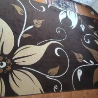 فرش۲در۳|فرش|سبزوار, ولیعصر (نجار آباد)|دیوار